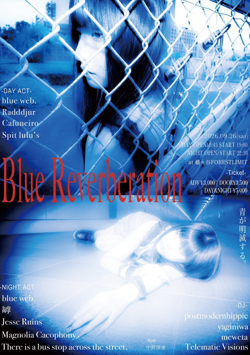 Blue Reverberation [NIGHT]